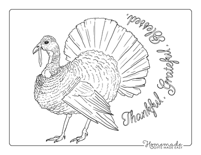 Turkey Coloring Pages Realistic Adult to Color