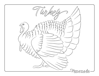 Turkey Coloring Pages Side View