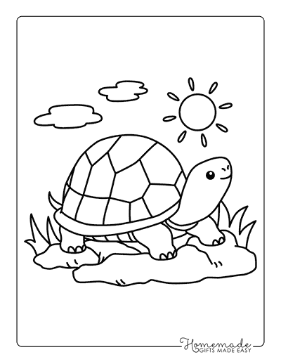 Turtle Coloring Pages Adorable Easy Turtle Outline to Color for Preschoolers