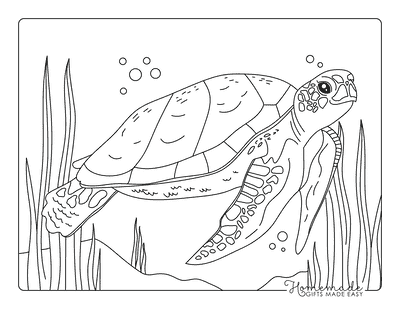 Turtle Coloring Pages Cute Happy Realistic Sea Turtle Swimming in the Ocean