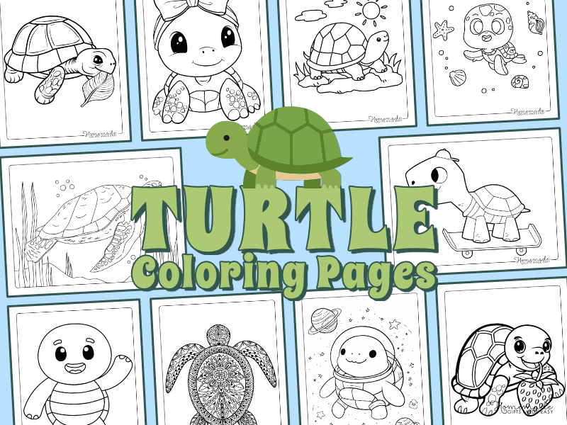 Turtle Coloring Pages