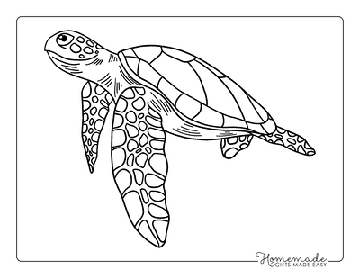 Turtle Coloring Pages Simple Graceful Sea Turtle Coloring Page