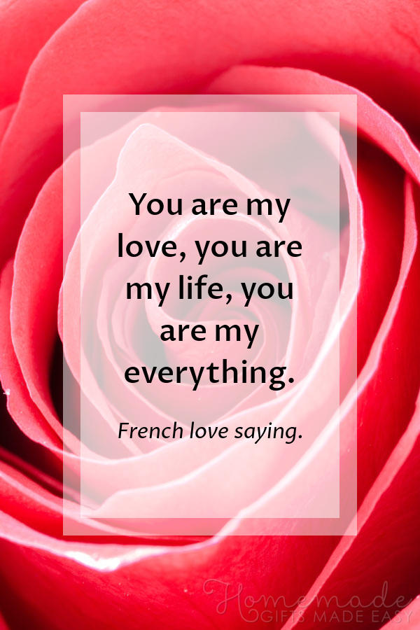 25 Best Valentine Card Sayings & Messages