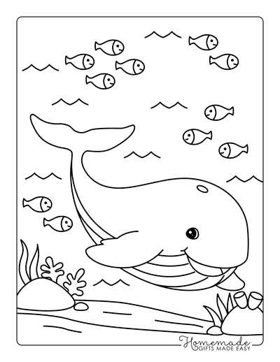 Whale Coloring Pages Easy Cute Whale Under Water With Fish Friends