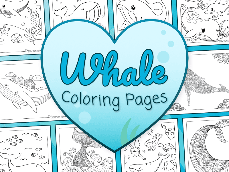 Whale coloring pages for kids and adults to color