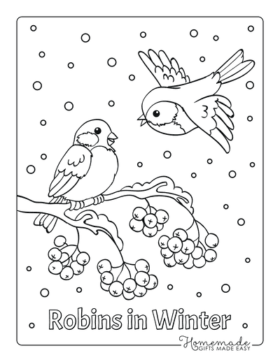 Winter Coloring Pages Birds Snow Branch Berries