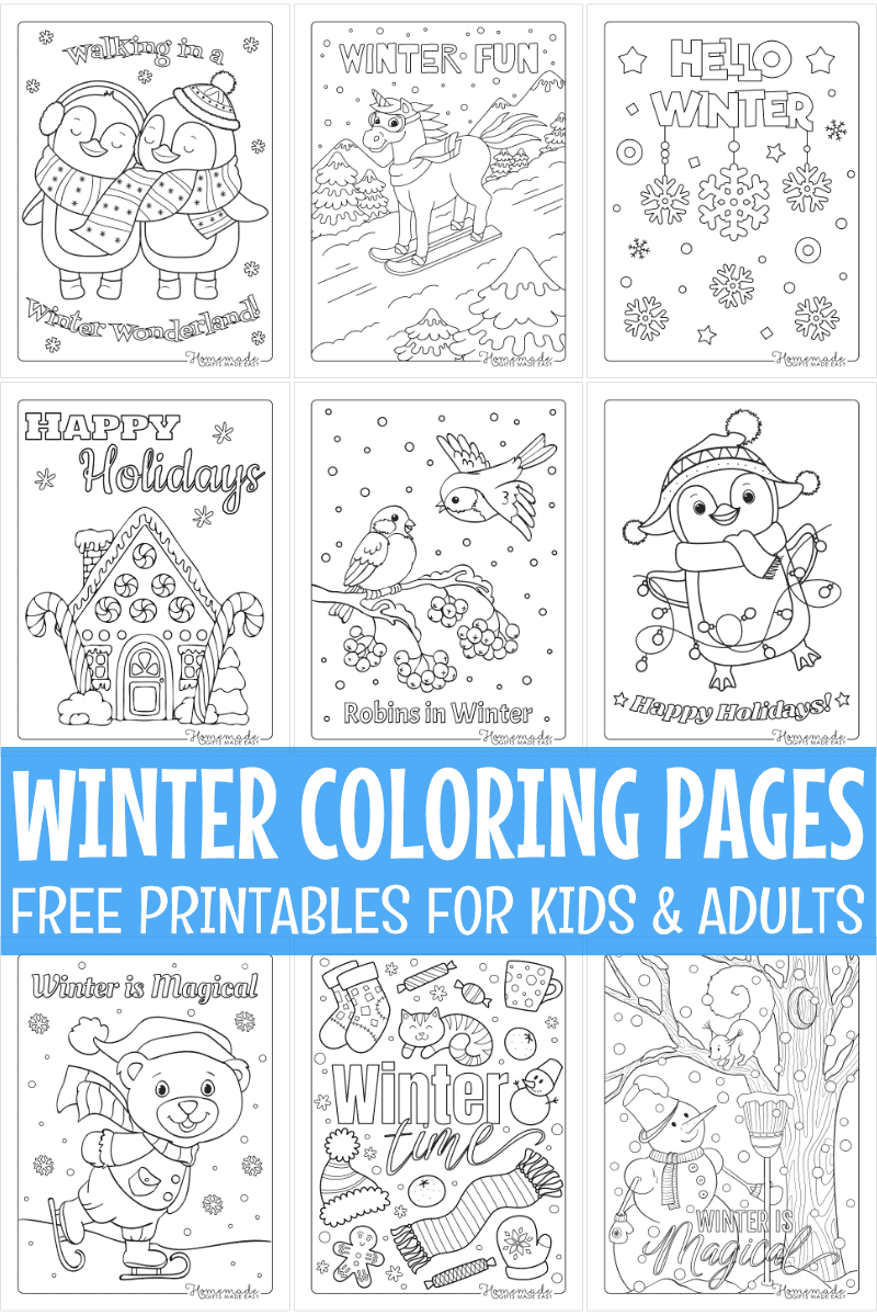 Cute Winter: The Cutest and Coziest Christmas Winter Coloring Book for  Adults and Kids (Large Print / Paperback)