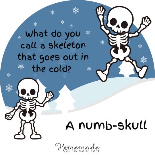 winter jokes for kids a numb skull