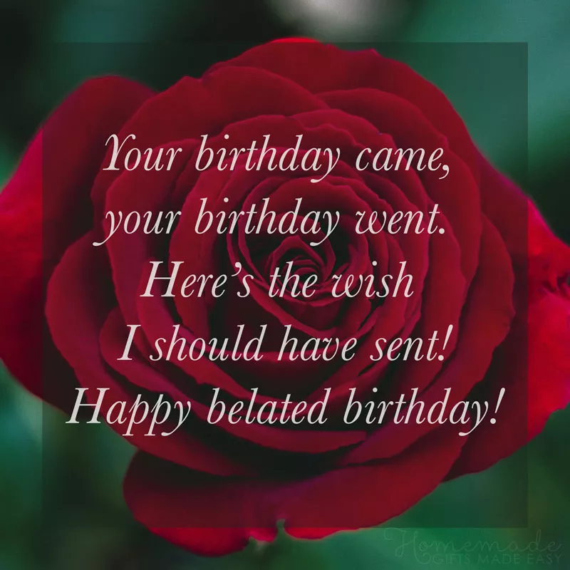belated birthday wishes 800x800