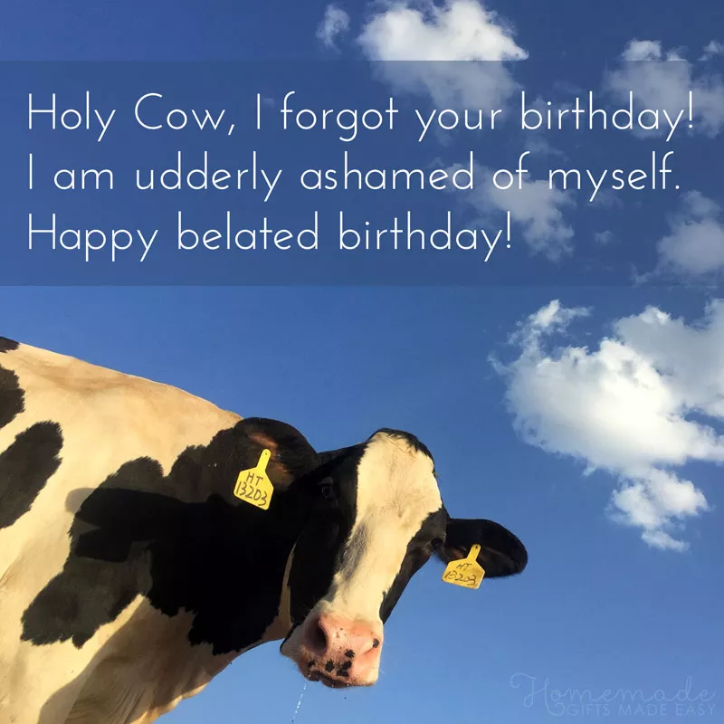 belated birthday wishes 800x800