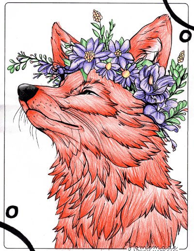 Coloring Contest Spring 2025
