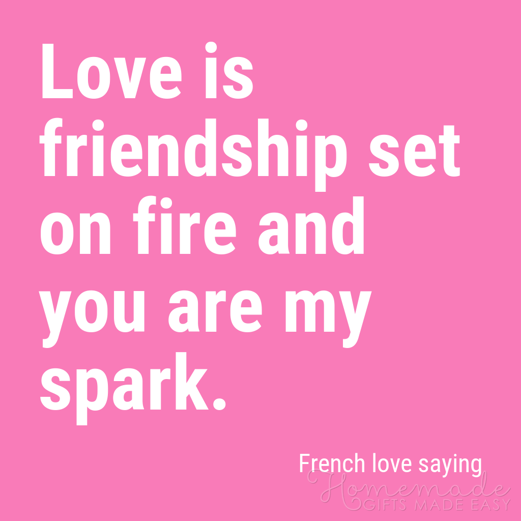 Sød Kæreste Citater Kærlighed er venskab sat i brand