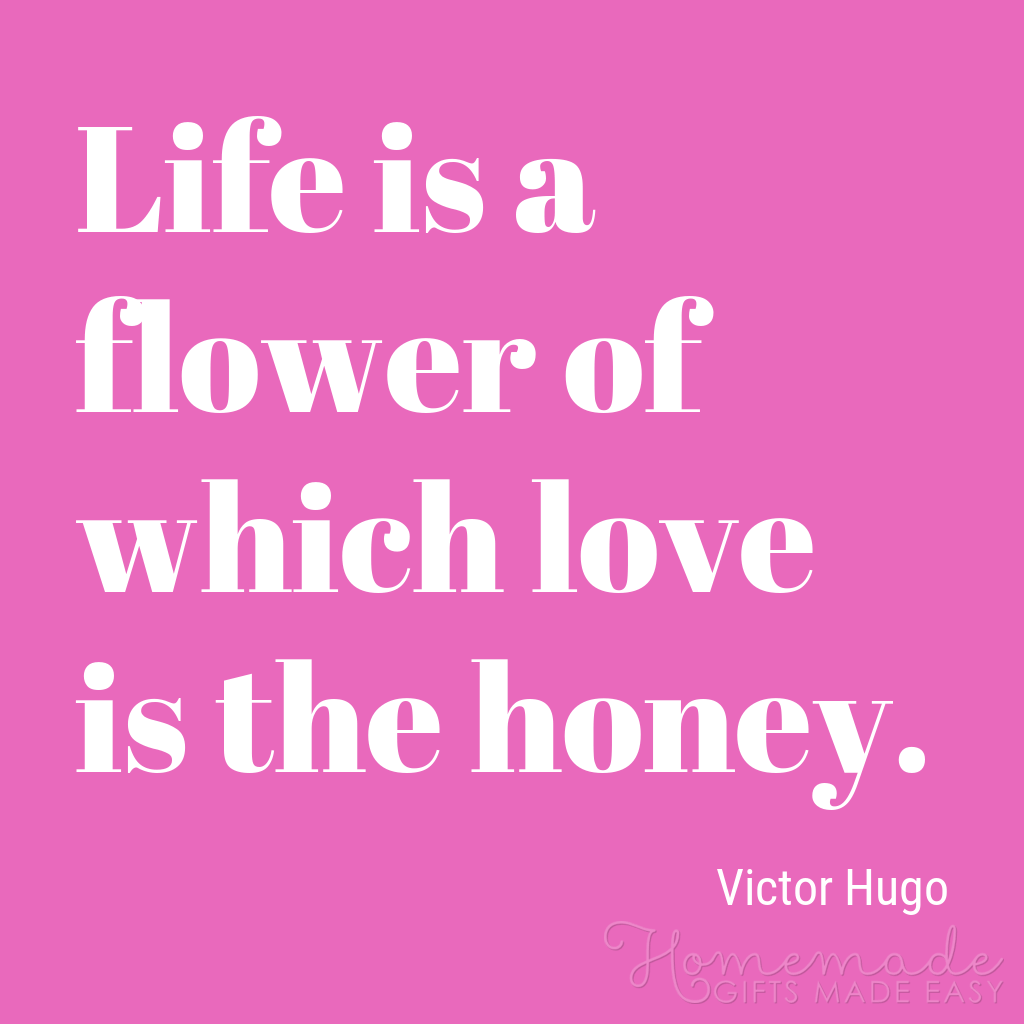 Sød Kæreste Citater Kærlighed er honningen
