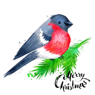 26+ Cardinal Christmas Cards 2021