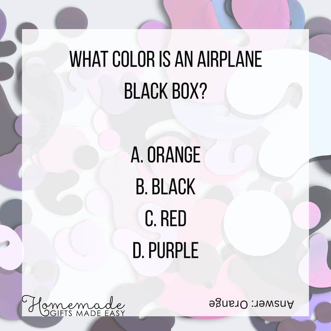 fun multiple choice questions