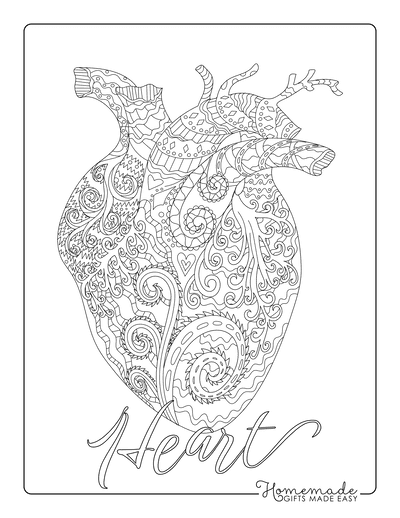 Heart Coloring Pages Anatomical Heart Shaped Doodle for Adults