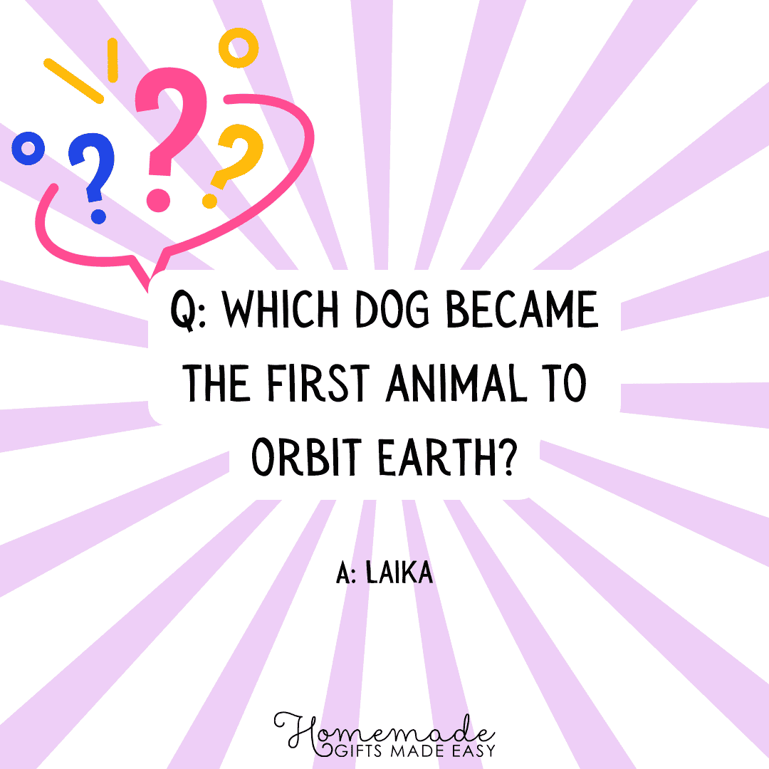 history trivia questions first animal in orbit?