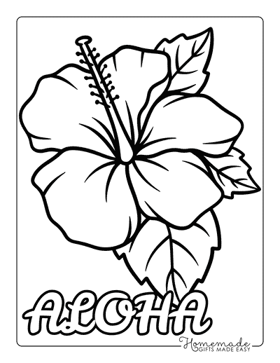 Lilo Stitch Coloring Pages Easy Hawaiian Flower Hibiscus Outline to Color