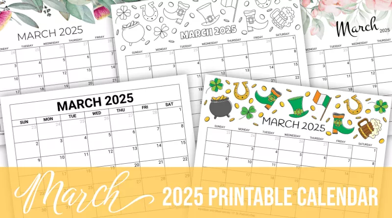 February 2025 Calendar Printable with Holidays