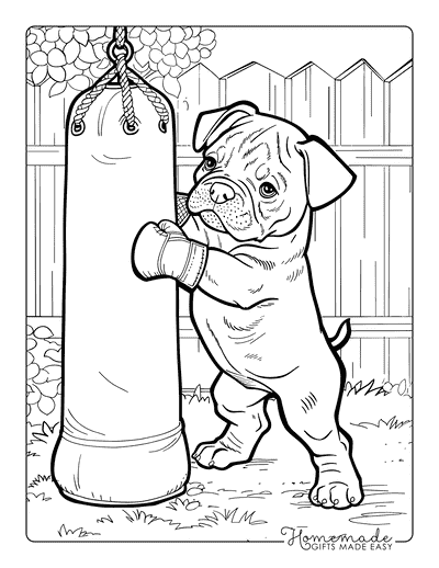 Puppy Coloring Pages Boxer Boxing