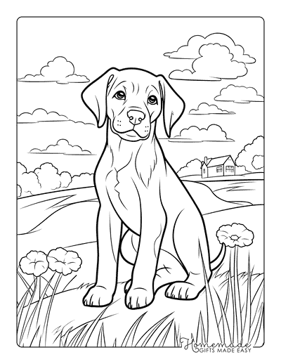 Puppy Coloring Pages Dog on Farm