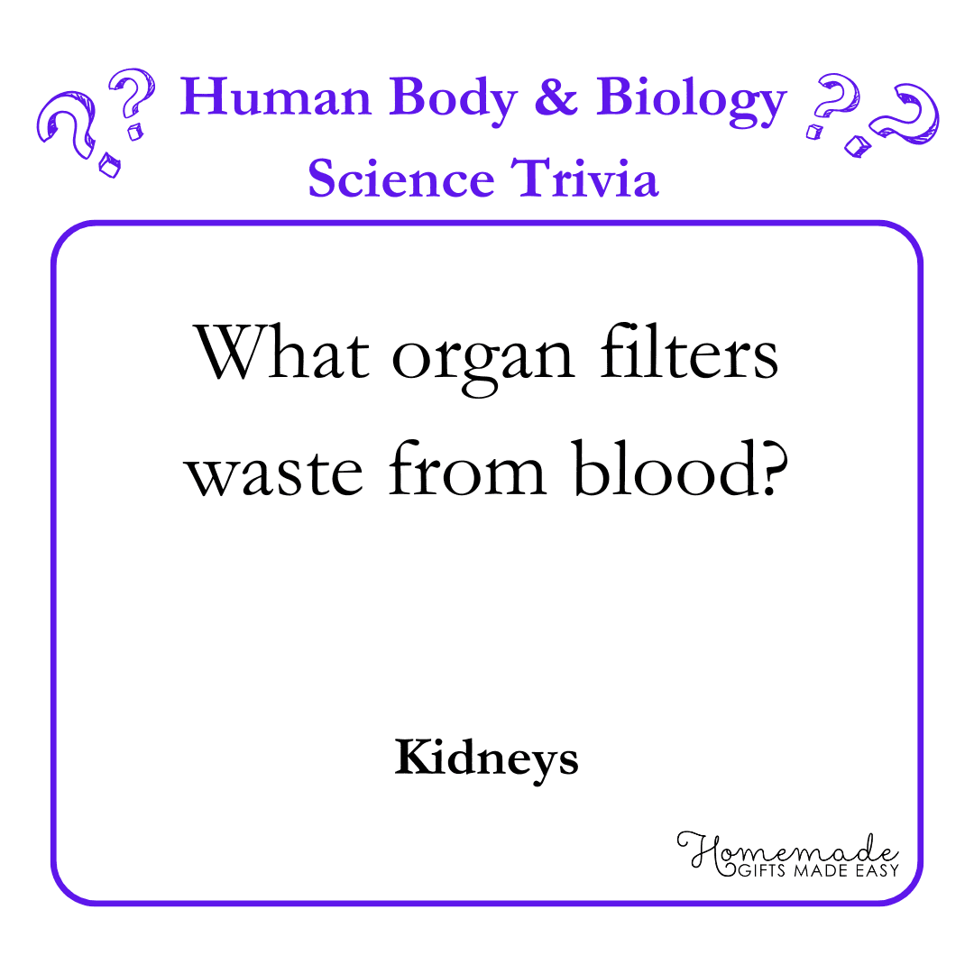 Science Trivia Questions