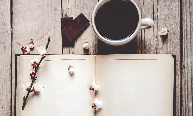 short love poems open journal with petals