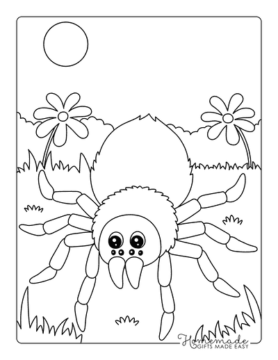Spider Coloring Pages Cute Tarantula in Forest to Color