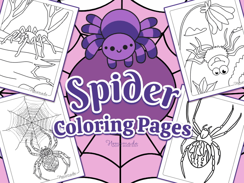 Free printable spider coloring pages for kids and adults