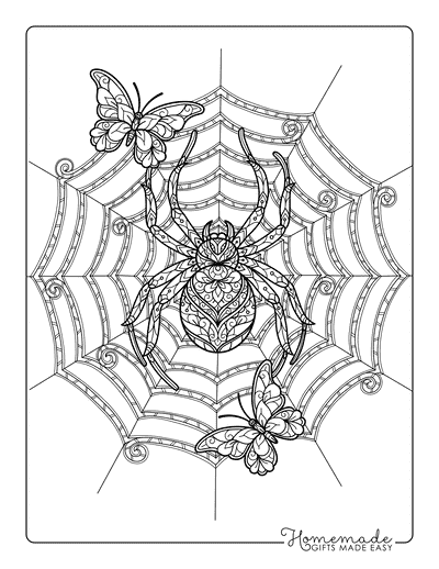 Spider Coloring Pages Printable Spider Web Butterfly Zentangle for Adults