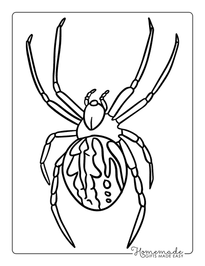 Spider Coloring Pages Realistic Printable Spider Coloring Page Orb Weaver