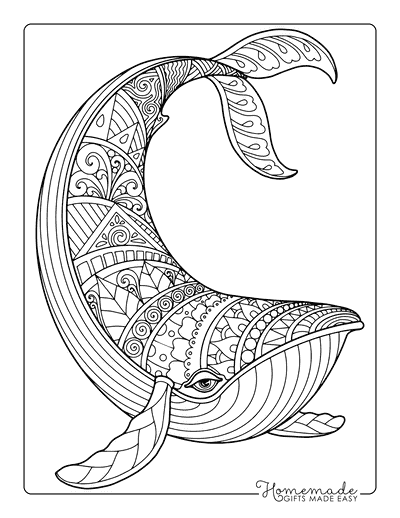 Whale Coloring Pages Realistic Humpback Whale Zentangle for Adults