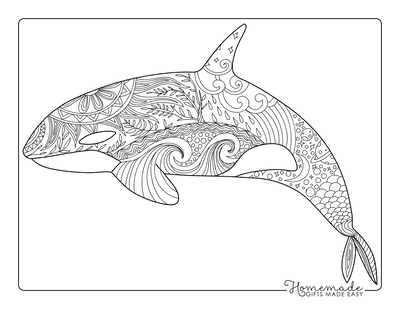Whale Coloring Pages Realistic Killer Whale for Adults Zentangle
