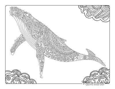 Whale Coloring Pages Realistic Whale for Adults Zentangle
